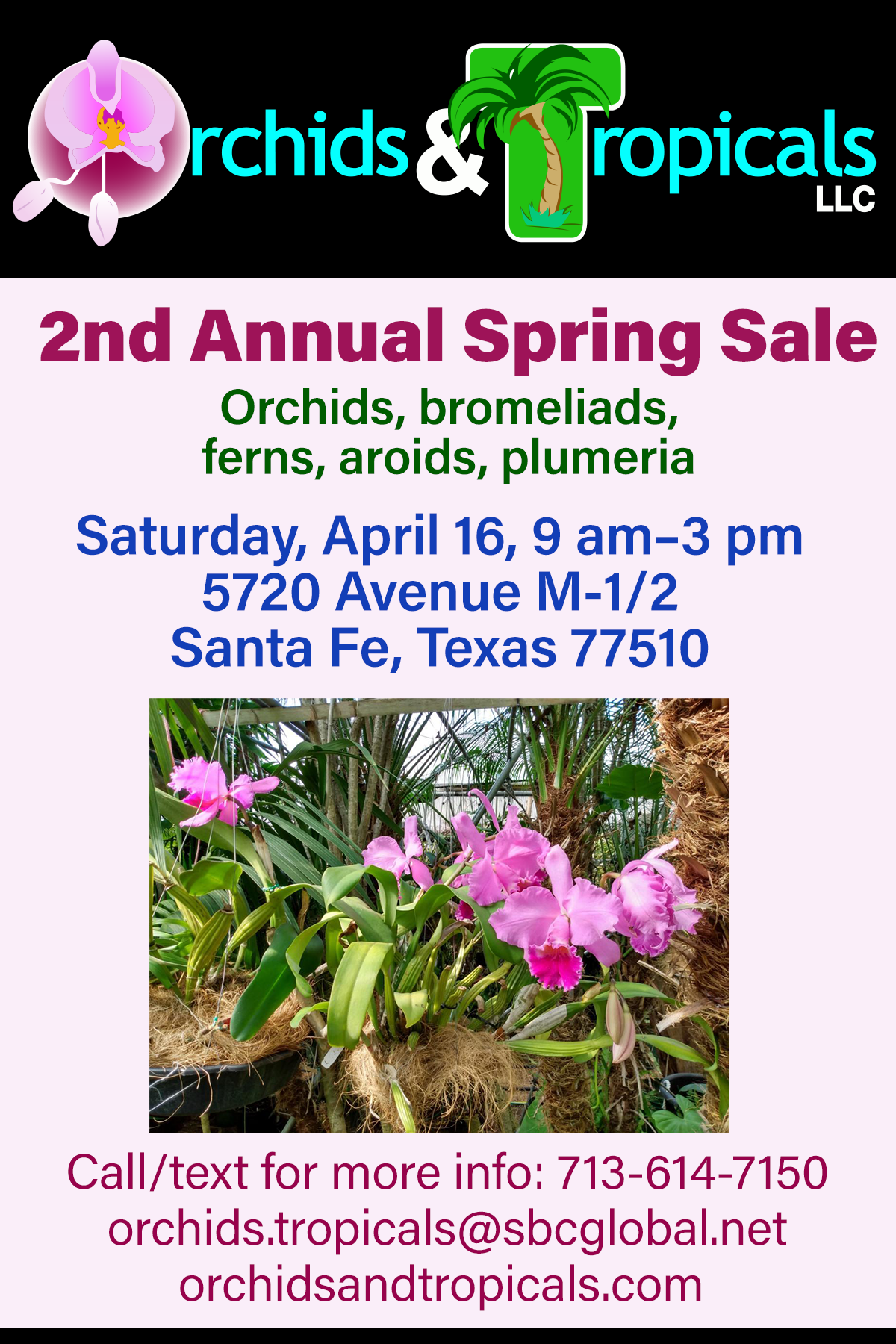 Orchids & Tropicals to Host 2nd Annual Spring Sale Houston Orchid