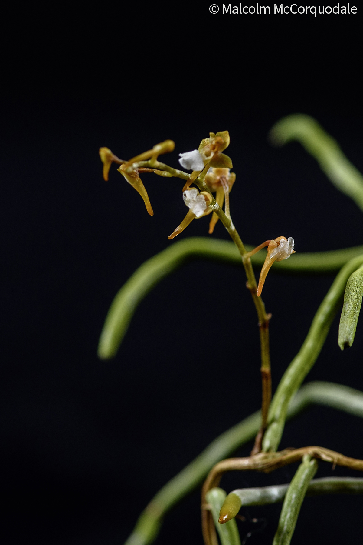 20244123 - 24I_0894 copy 3