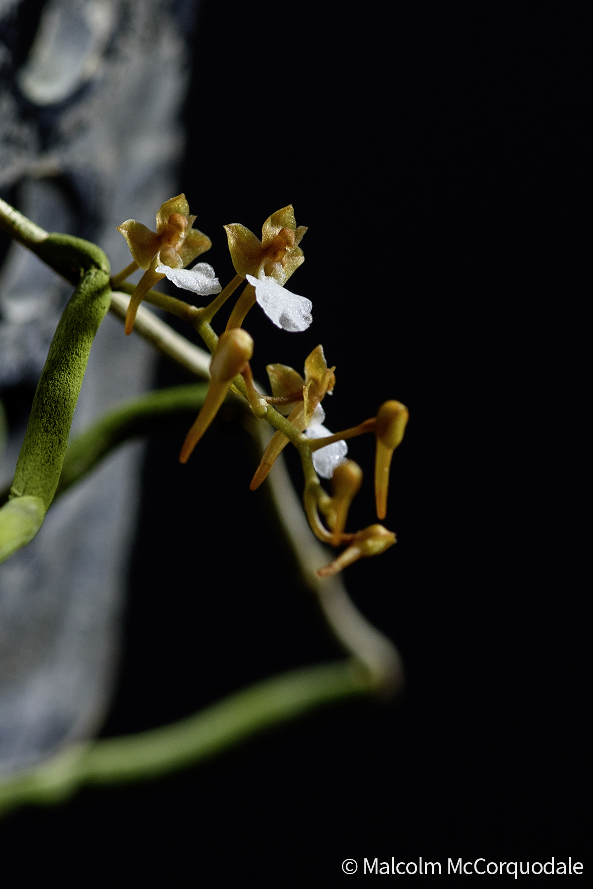 20244123 - 24I_0895 copy cropped copy 2