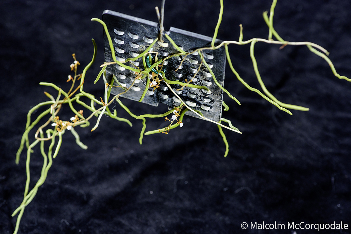 20244123 - 24I_0913 copy 3