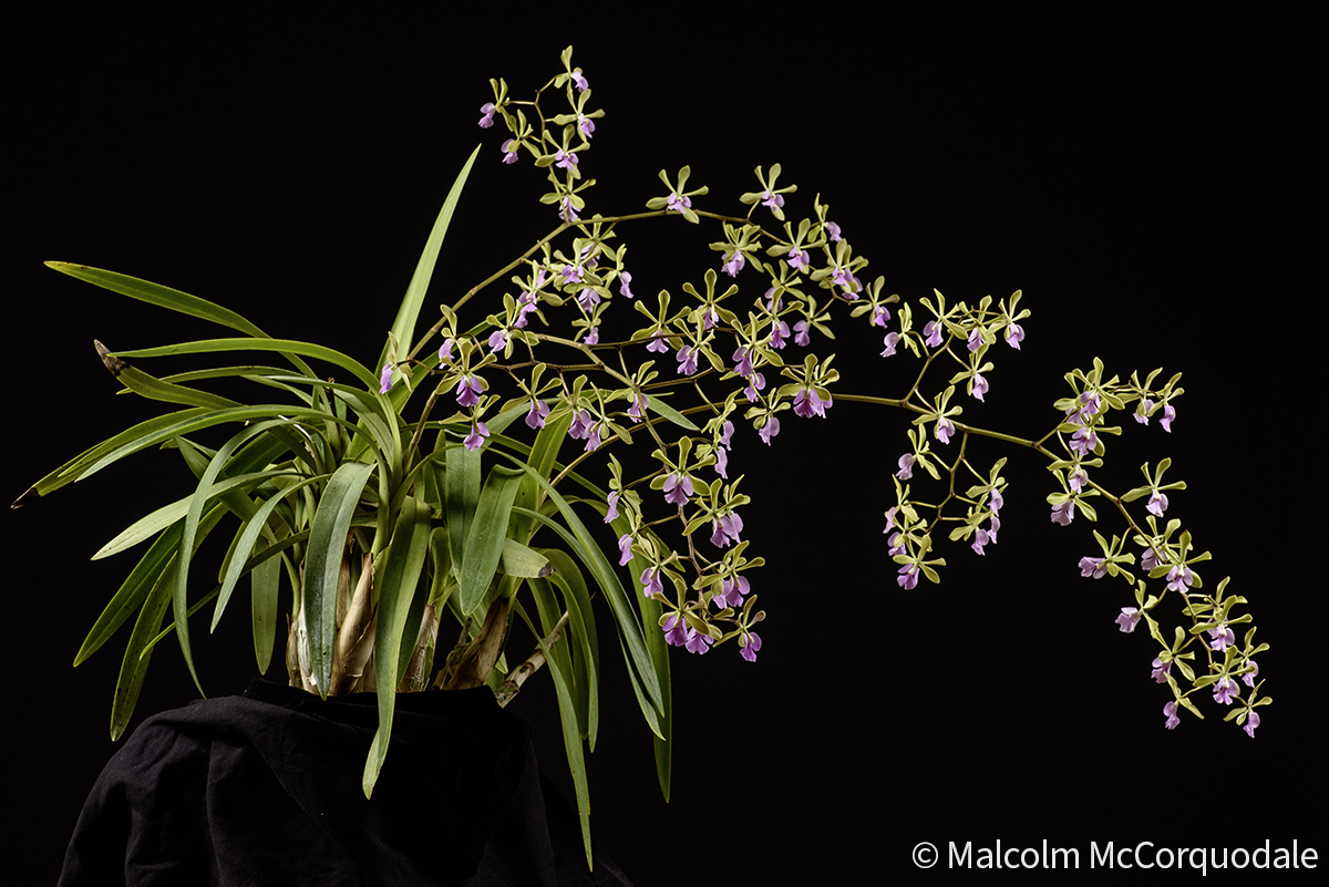 20244124 - 24I_0930 crop copy 3